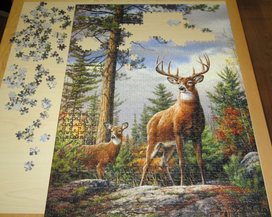 puzzle02.jpg